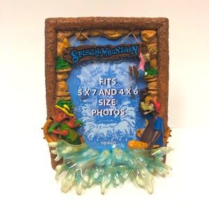 Disney Parks Splash Mountain Ride Picture 3D Photo Frame 4x6 or 5x7